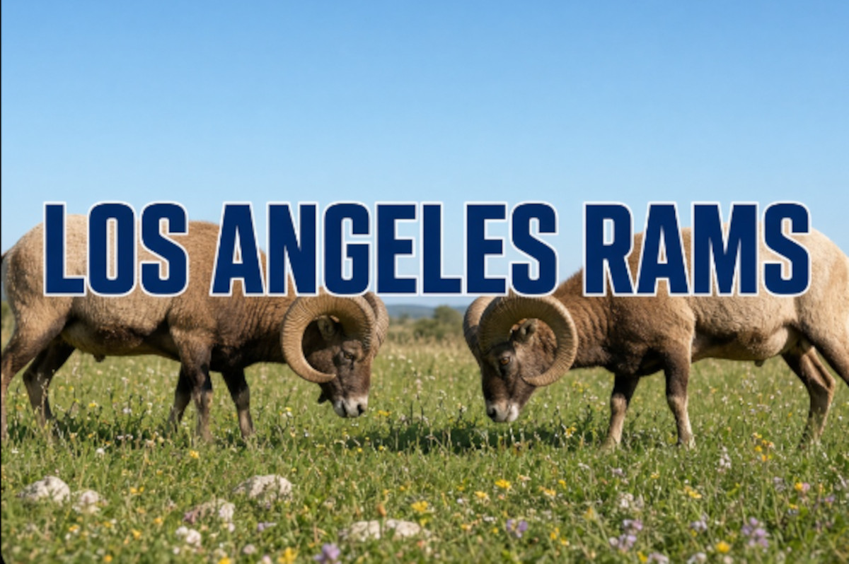 Los Angeles Rams — 2026 Team Profile