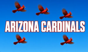 Arizona Cardinals — 2026 Team Profile